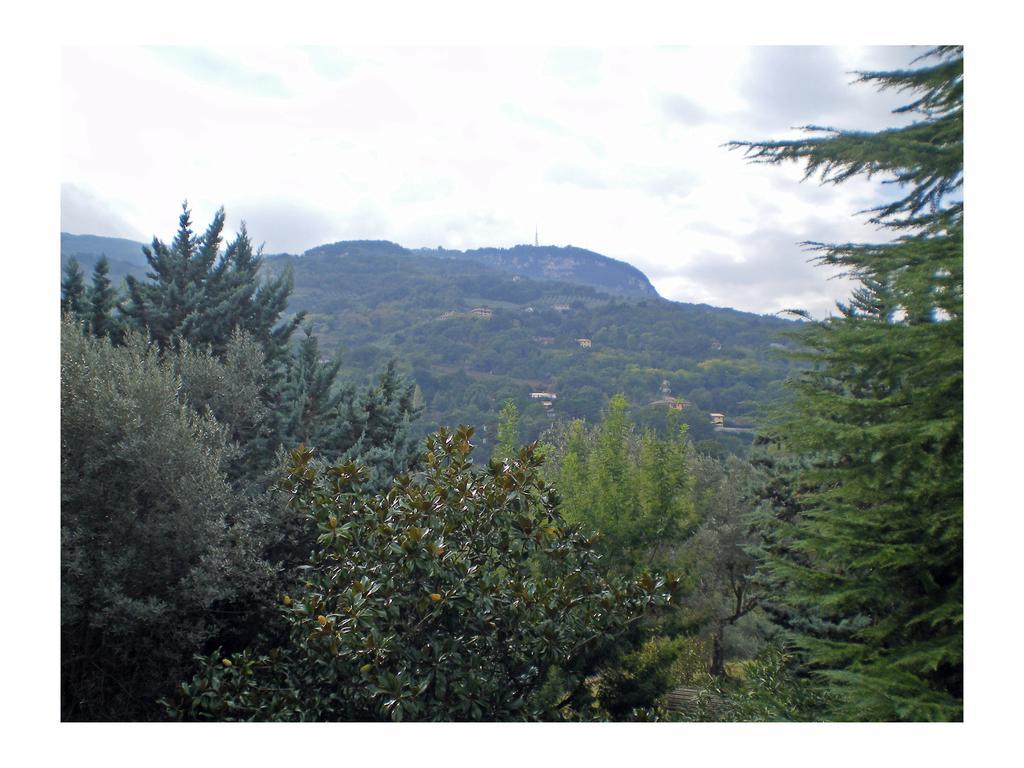 Meravilla Ascoli Piceno Quarto foto